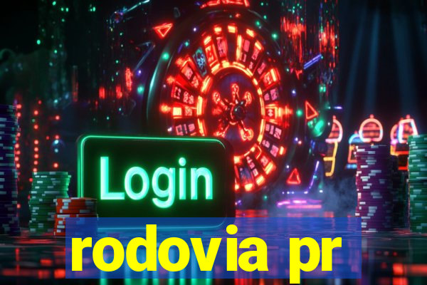 rodovia pr-317 km 155 onde fica